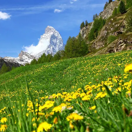 Holiday home Gaedi By Interhome Zermatt